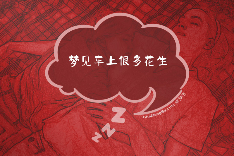 梦见车上很多花生