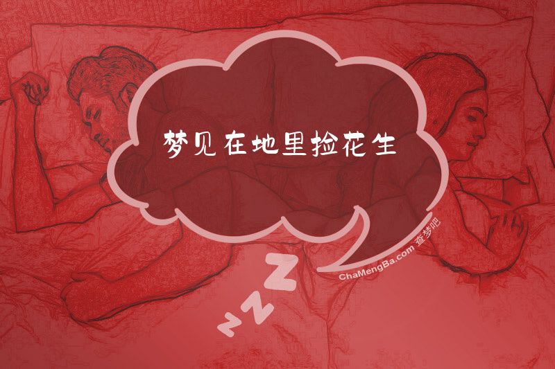 梦见在地里捡花生
