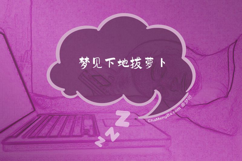 梦见下地拔萝卜