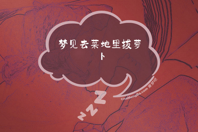 梦见去菜地里拔萝卜