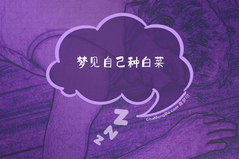 梦见自己种白菜