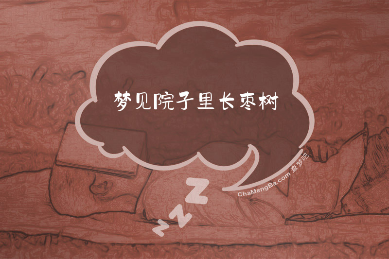 梦见院子里长枣树