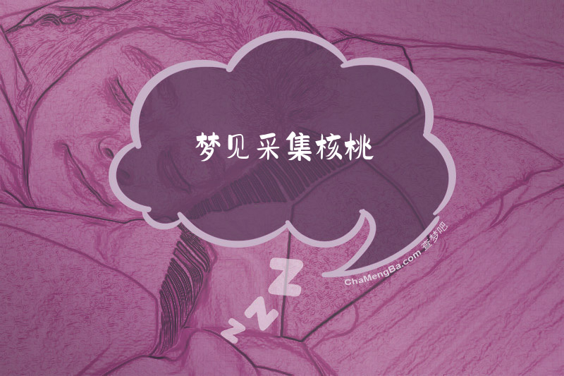 梦见采集核桃