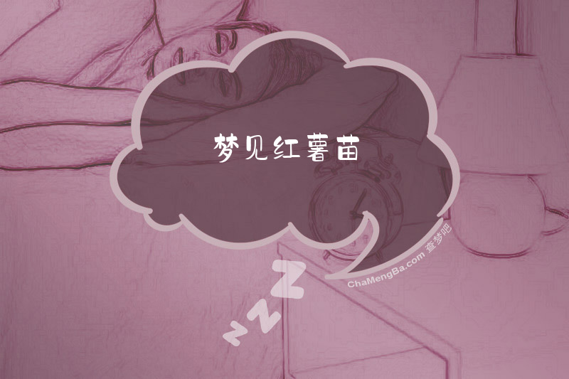 梦见红薯苗