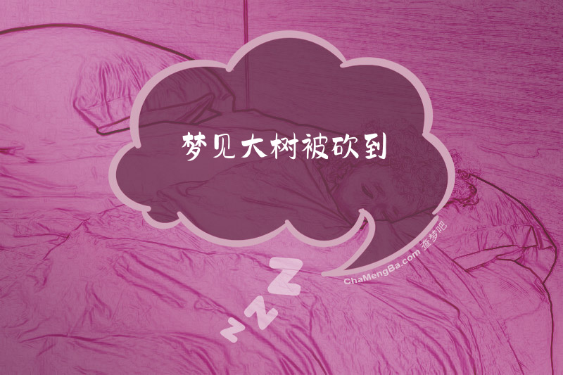梦见大树被砍到