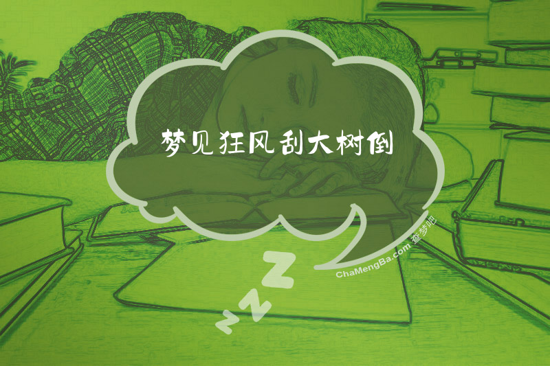 梦见狂风刮大树倒