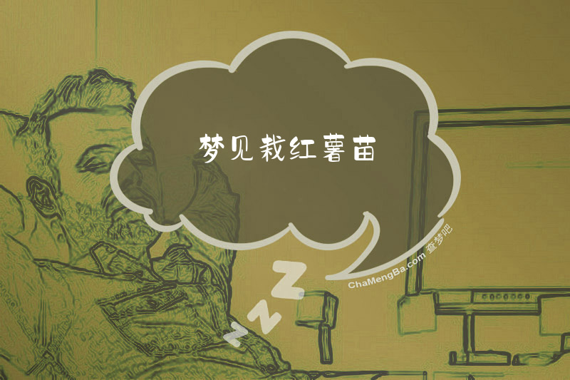 梦见栽红薯苗