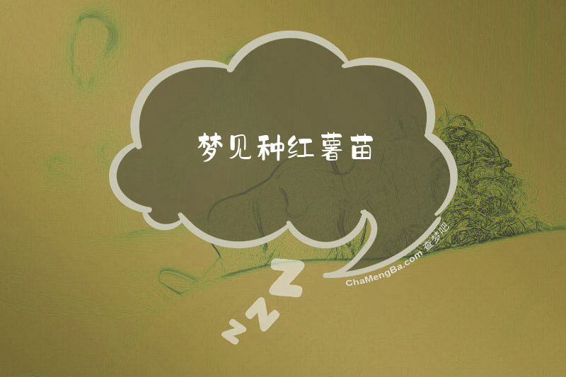 梦见种红薯苗