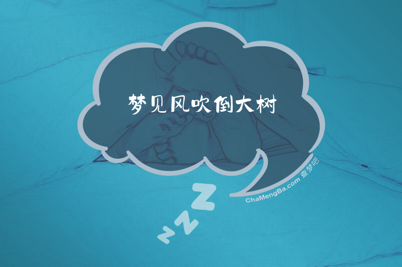梦见风吹倒大树