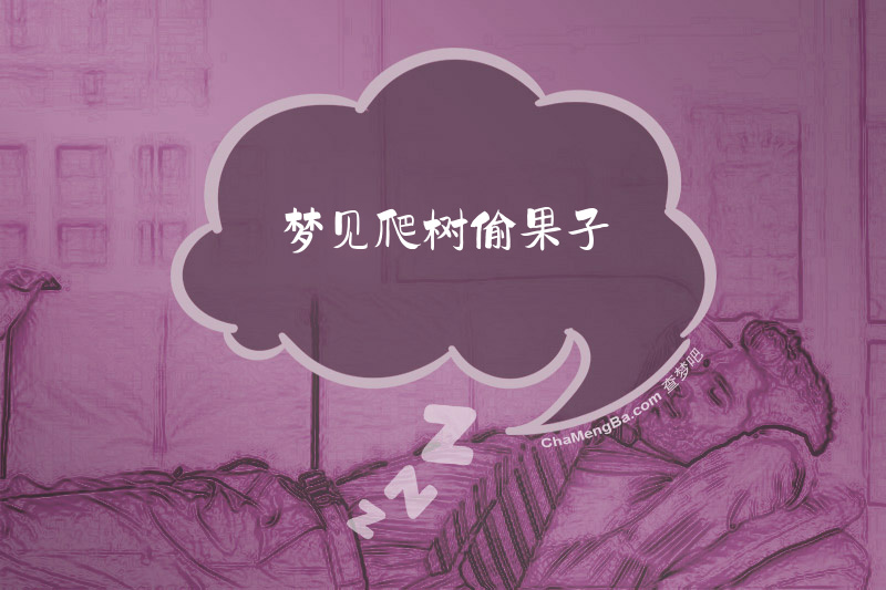 梦见爬树偷果子