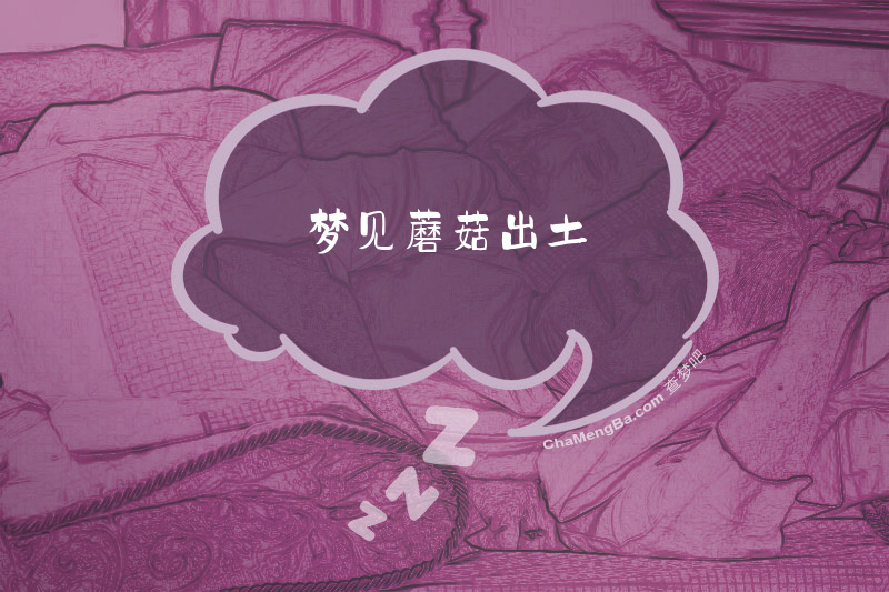 梦见蘑菇出土