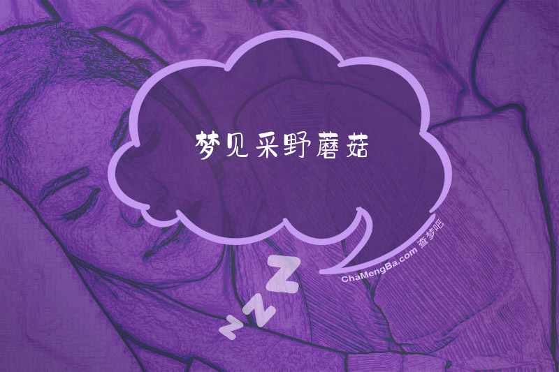 梦见采野蘑菇
