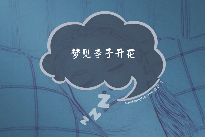 梦见李子开花