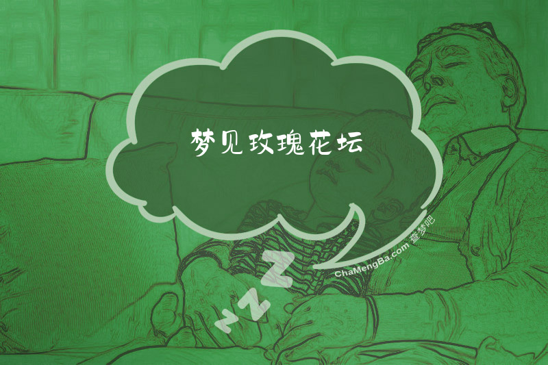 梦见玫瑰花坛