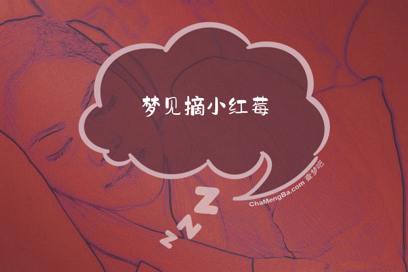 梦见摘小红莓