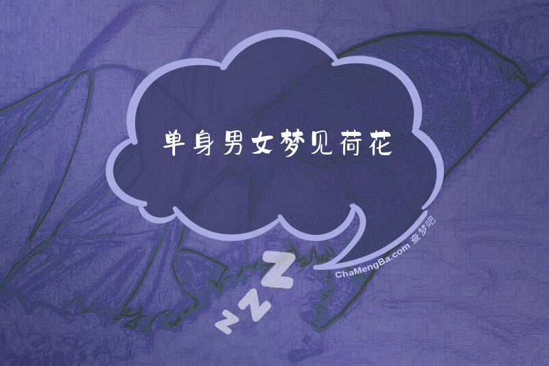 单身男女梦见荷花