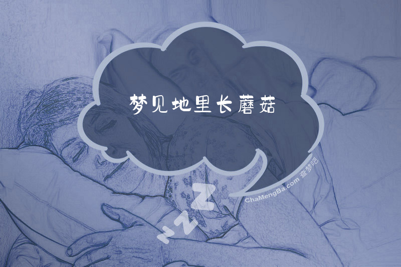 梦见地里长蘑菇