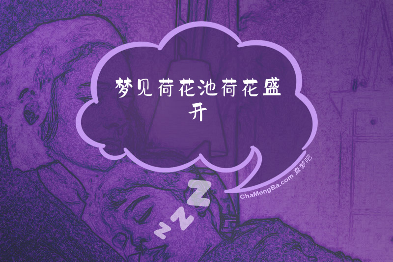 梦见荷花池荷花盛开