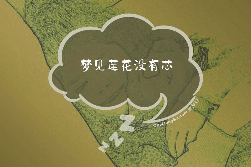 梦见莲花没有芯