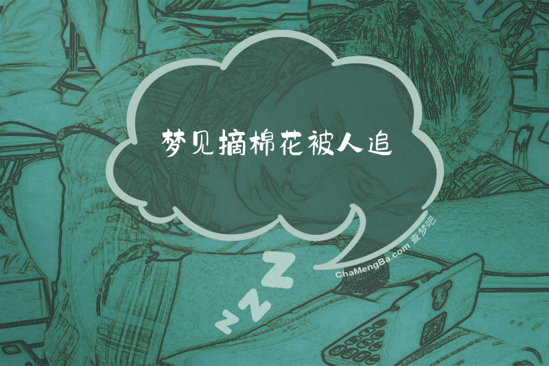 梦见摘棉花被人追