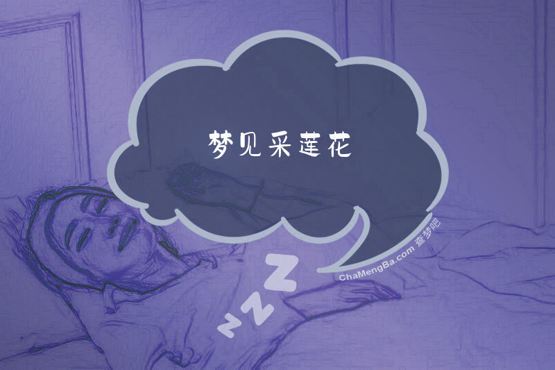 梦见采莲花