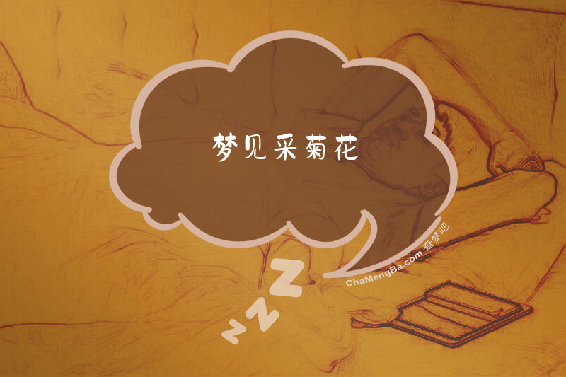 梦见采菊花