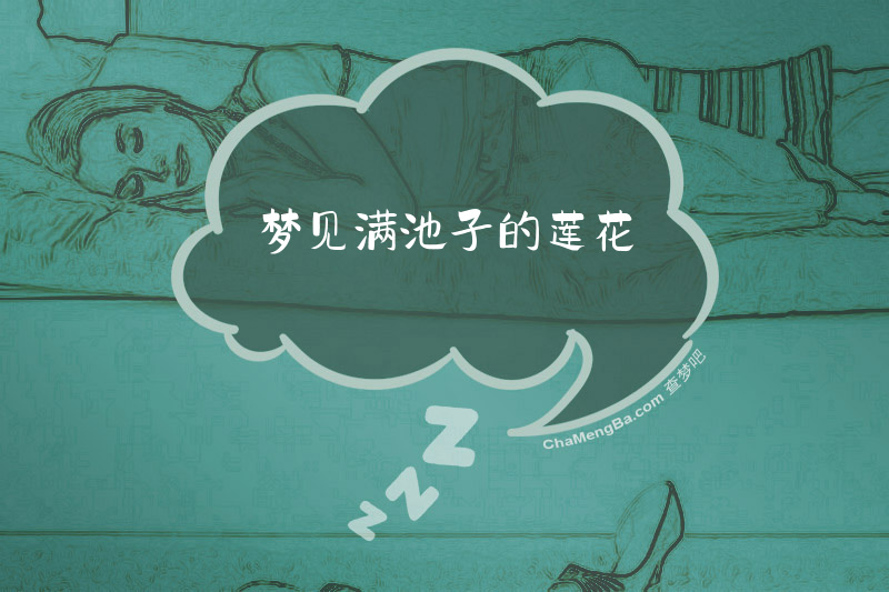 梦见满池子的莲花