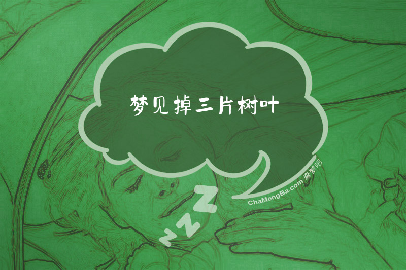 梦见掉三片树叶