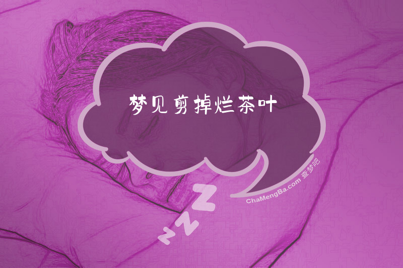 梦见剪掉烂茶叶