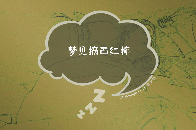 梦见摘西红柿