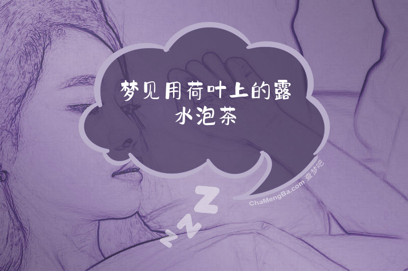 梦见用荷叶上的露水泡茶