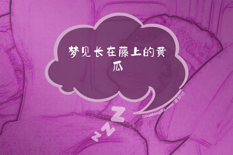 梦见长在藤上的黄瓜