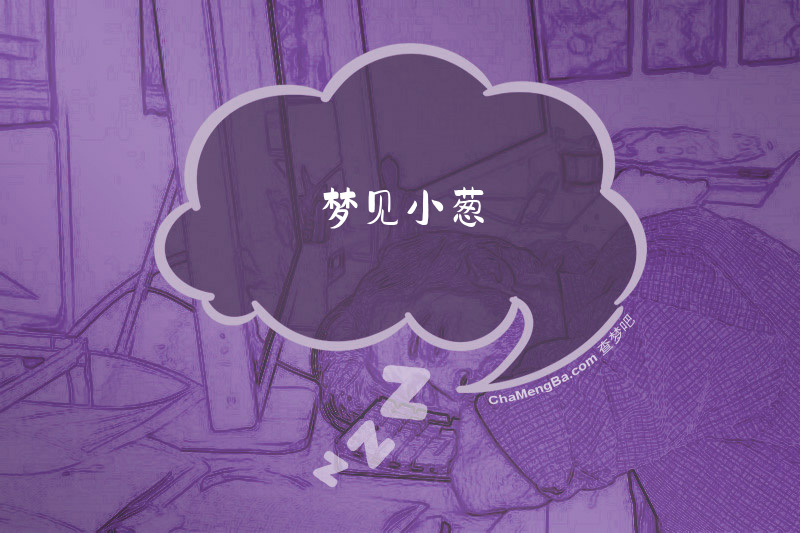 梦见小葱