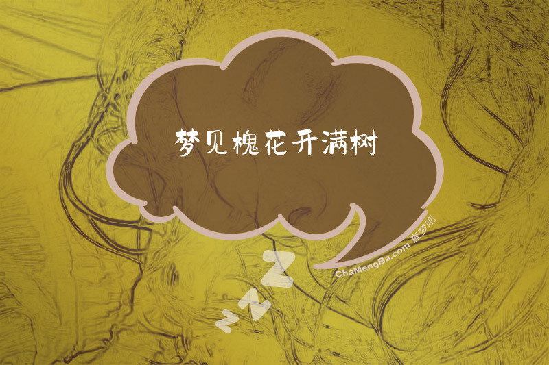 梦见槐花开满树