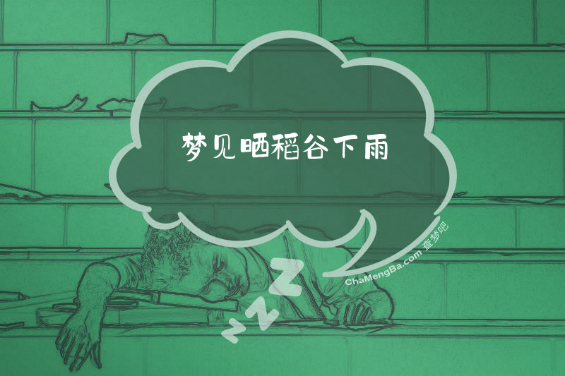 梦见晒稻谷下雨