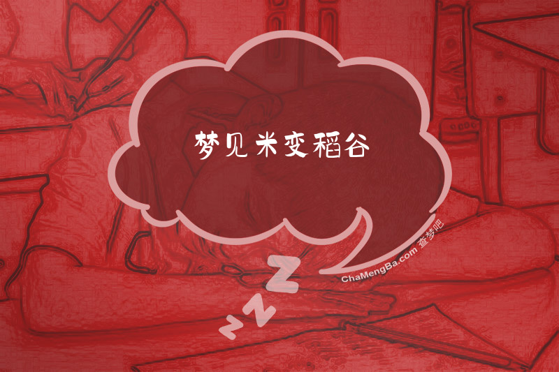 梦见米变稻谷