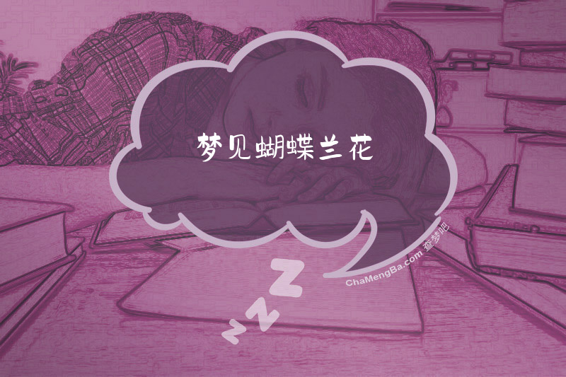 梦见蝴蝶兰花