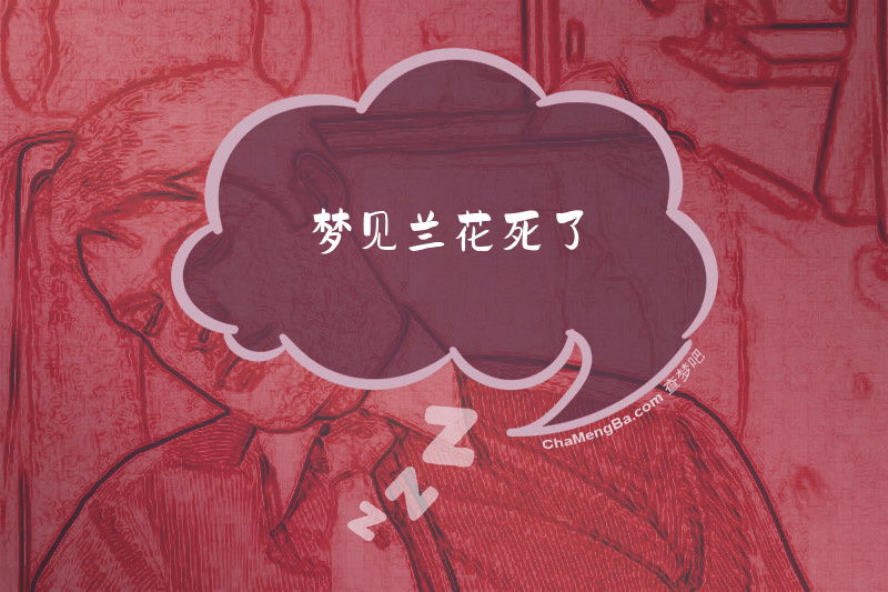 梦见兰花死了