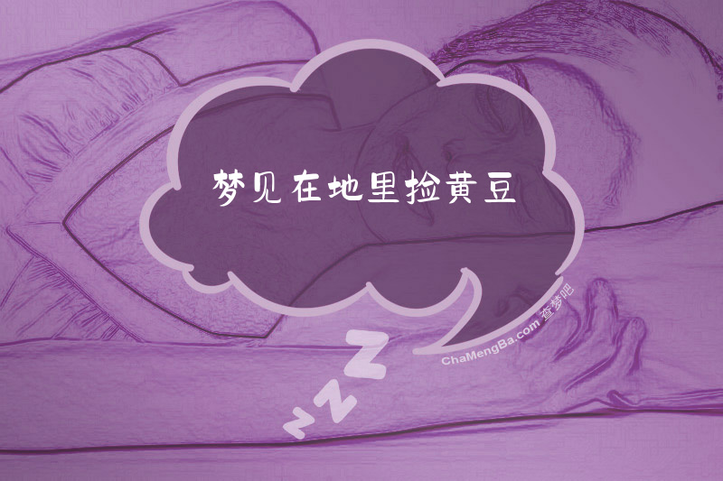 梦见在地里捡黄豆