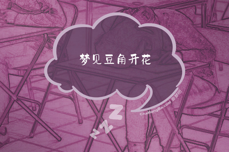 梦见豆角开花