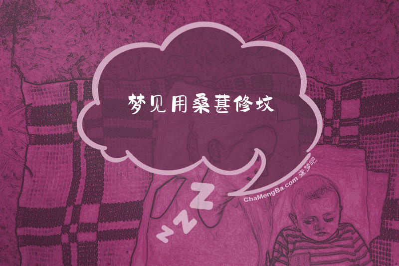 梦见用桑葚修坟