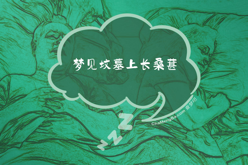 梦见坟墓上长桑葚