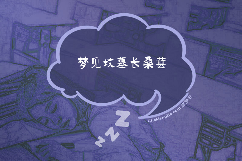 梦见坟墓长桑葚