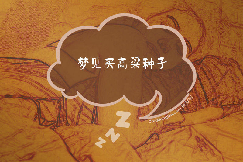 梦见买高粱种子