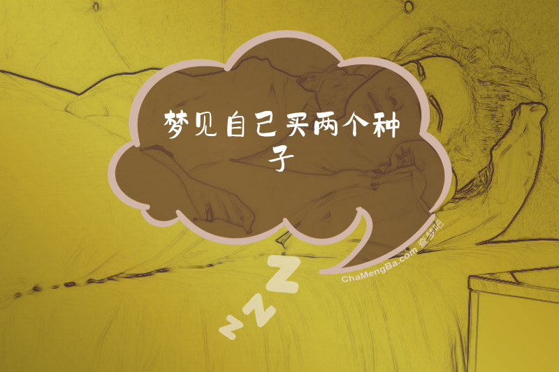 梦见自己买两个种子