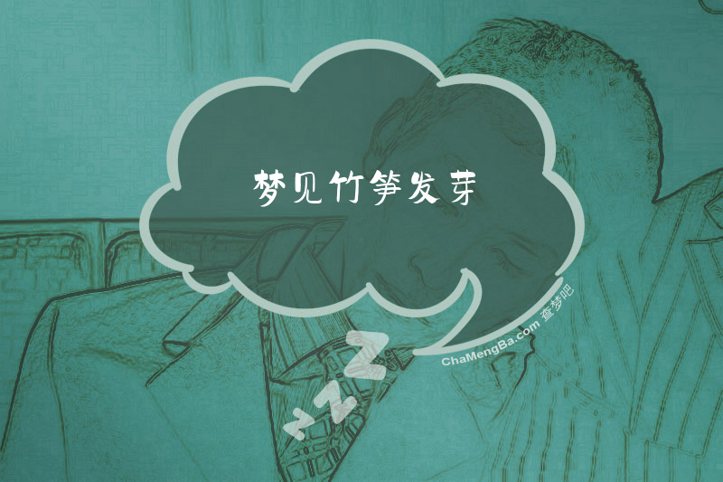 梦见竹笋发芽