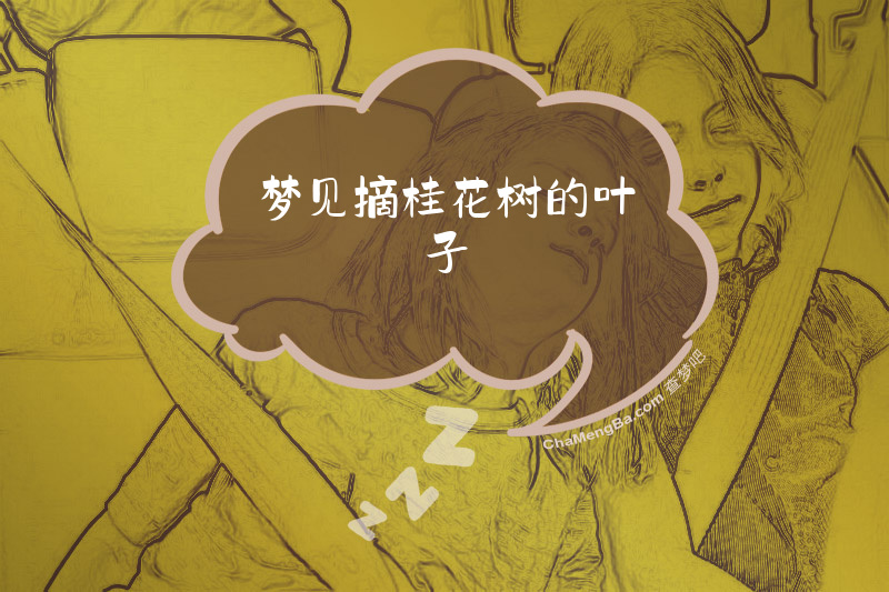 梦见摘桂花树的叶子