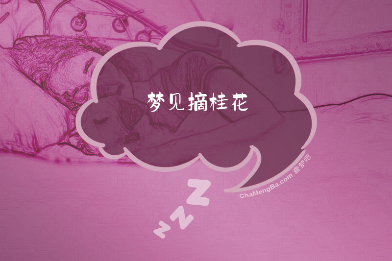 梦见摘桂花