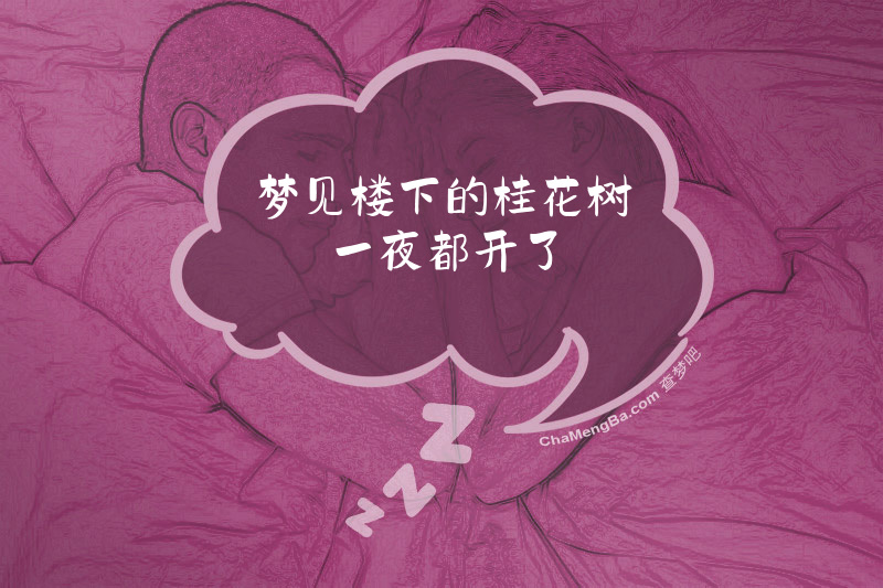 梦见楼下的桂花树一夜都开了