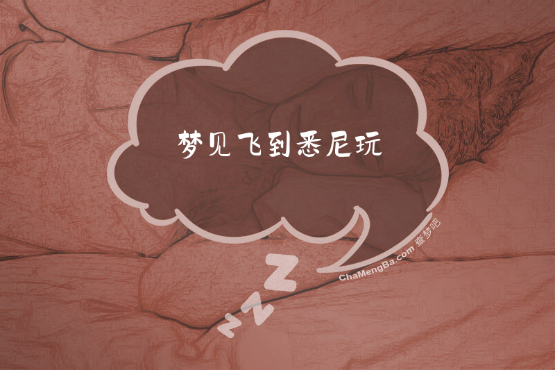 梦见飞到悉尼玩